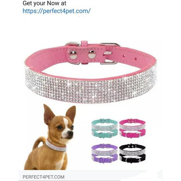 Other - bling rhinestone dog collar